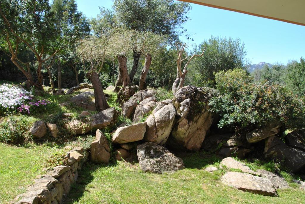 Sa Jaga Brujada Residence - Simar Vacanze Porto Rotondo Extérieur photo
